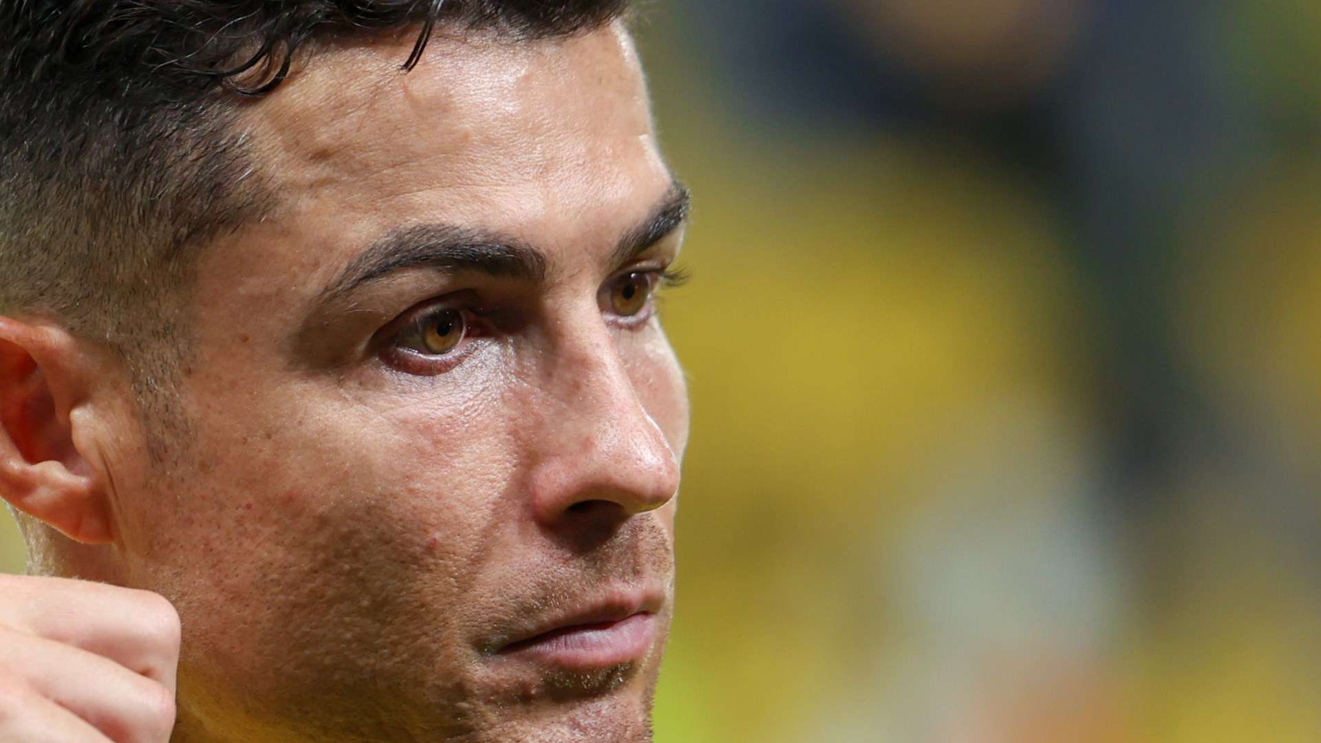 以及郑薇教 以及郑薇教